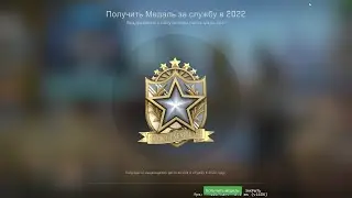 CS:GO 2022 Service medal!