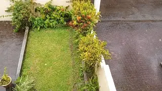It's Raining here 🌧️