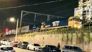 81 class locomotive leading a container freight train through Harris Park 