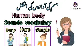 Body sounds vocabulary in English with Urdu meanings