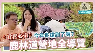 【山姆家去露營】賞櫻必搶 今年你搶到了嗎！？ 絕美鹿林道營地全導覽｜ 哪區櫻花多？合掌屋、小木屋風情不一樣但都很好住｜每年幾月該搶隔年的櫻花營區？在櫻花下搭帳很浪漫？露營賞櫻要注意什麼事呢？