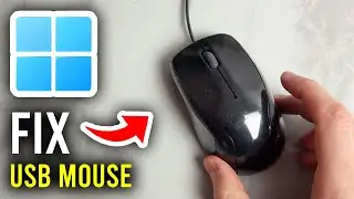 How To Fix USB Mouse Not Working In Windows 11 or 10 - Step By Step