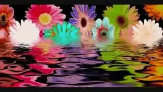 орк чака рака -талай пурна 2010.wmv