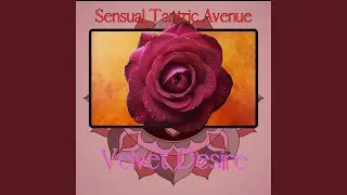 Double Soul Connection (Sensual Style)