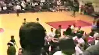 THE BASKET BRAWL