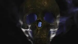 Skull   40251