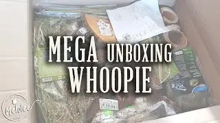 MEGA unboxing WHOOPIE pour HAMSTERS