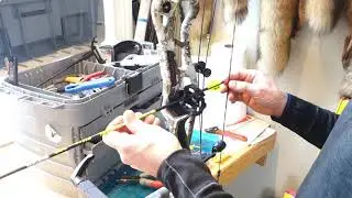 Hoyt REDWRX RX-1 Ultra first steps