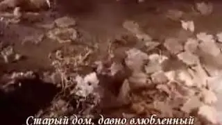 Вальс-бостон. Розенбаум (с субтитрами)