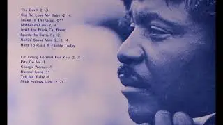 Eddie Kirkland : Snake In The Grass (1970)
