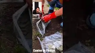 Como tener un camino de piedras f&aacute;cil y sencillo
