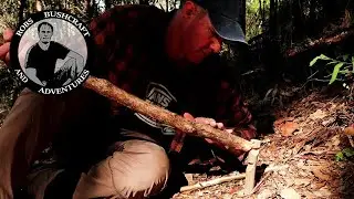 3 Primitive Traps for Alone Show in 3 Minutes - Maybe...