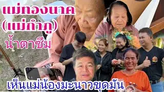 แม่ทองนาคน้ำตาซึม เห็นแม่น้องมะนาวขุดมัน #บ้านสวนกำภูEp1581