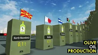 Olive Oil Production