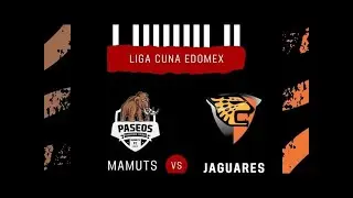 Finales Mamuts vs Jaguares