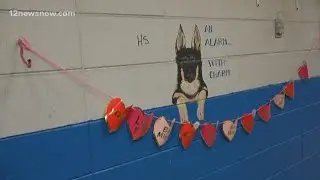 Local animal shelter celebrates Valentine's Day