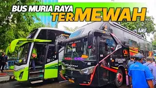  KALINGGA JAYA TERMEWAH ‼️ BUS BEJEU SELALU PENUH 😲 