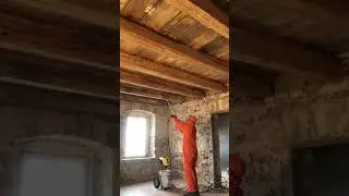Zwalczanie szkodnik&oacute;w drewna - xilix gel