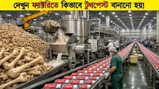 লাখ লাখ পশুর হাড় ফ্যাক্টরিতে কী কাজে লাগে? টুথপেস্ট  কিভাবে বানানো হয়?