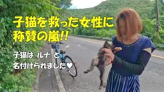 感謝100万再生　これは奇跡に等しい。　Rescue the cat