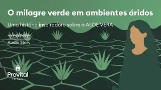 O milagre verde em ambientes áridos 🌵 | História do Aloe Vera e sua resiliência