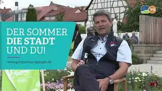 Das Fernsehen zur Gartenschau EPPINGEN 2022 - KraichgauTV-Gartenschaufenster 04