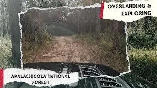 Exploring and Overlanding Through Apalachicola National Forest.