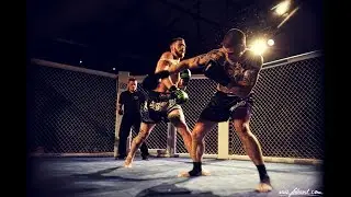 Nikolas Wiedenmann vs. Bence Homolya || AGE OF CAGE 10 | STUTTGART