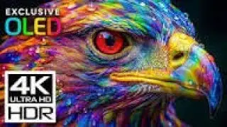 4K Video ULTRA HD OLED Demo | Dolby Vision HDR 120fps