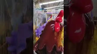 Kid Train Ride