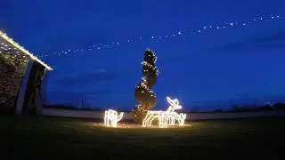 Lichtermeer in Mechtersheim