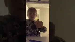 N&auml;r en fluga f&ouml;rs&ouml;ker &ouml;verleva en manniska