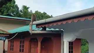 apen en toekan op dak hotel Pankor