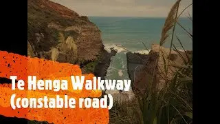 Te Henga walkway constable road