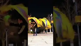 ✨ Nighttime Dragon Dance Performance | Traditional Folk Culture in Motion | Embrace Every Day With a