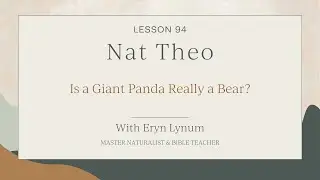 Is a Giant Panda Really a Bear? Lesson 94