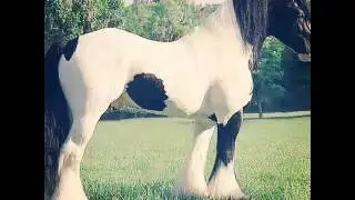 Ja a moje andula
