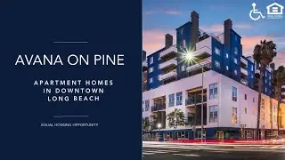 Avana on Pine | Long Beach CA Apartments | Greystar