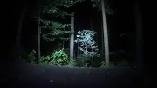 Armytek Partner Pro C4   white light vs  warm light