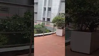 M.O.P. Vaishnav college for women #fyp #college #chill #aestheic