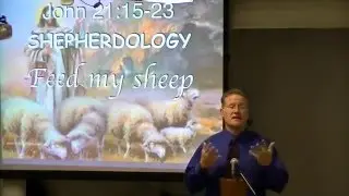 Shepherdology