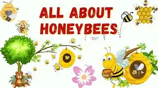ALL ABOUT HONEYBEES || Learn More About Honeybees || Amazing Honeybee Facts for Kids||