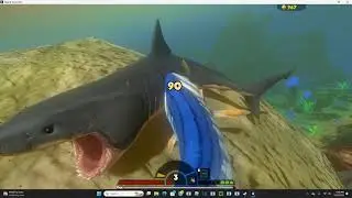 Best Way to get Max Coins - Feed and Grow Fish