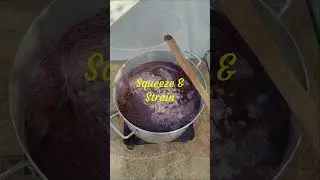 Homestead Albania - Mulberry (mana) Progression from Tree to Molasses (Pekmez) #shorts  #albania