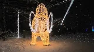 Lichterpark LUMAGICA im Wildpark Schwarze Berge