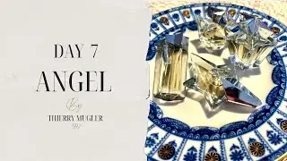 My Perfume Library by Days: Day 7 - Angel by Thierry Mugler (1992)