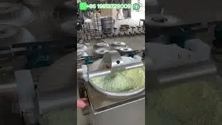 Commercial Vegetable Meat Mincer for Dumplings Spring Rolls Wontons Restaurant Kitchen