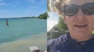 My Scotch Moss Experiment & Brad continues to work on the Dock