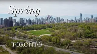 Toronto Spring | Cherry Blossoms Sakura | DJI Mini 2 Pocket 2 | Canadian City Drone Aerial 2022 4K