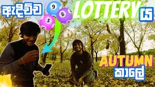 මෙච්චර ලස්සනද?😍 | Car එකත් Vacuum කරන් යමු | Autumn in Canberra | Australia Sinhala Vlog